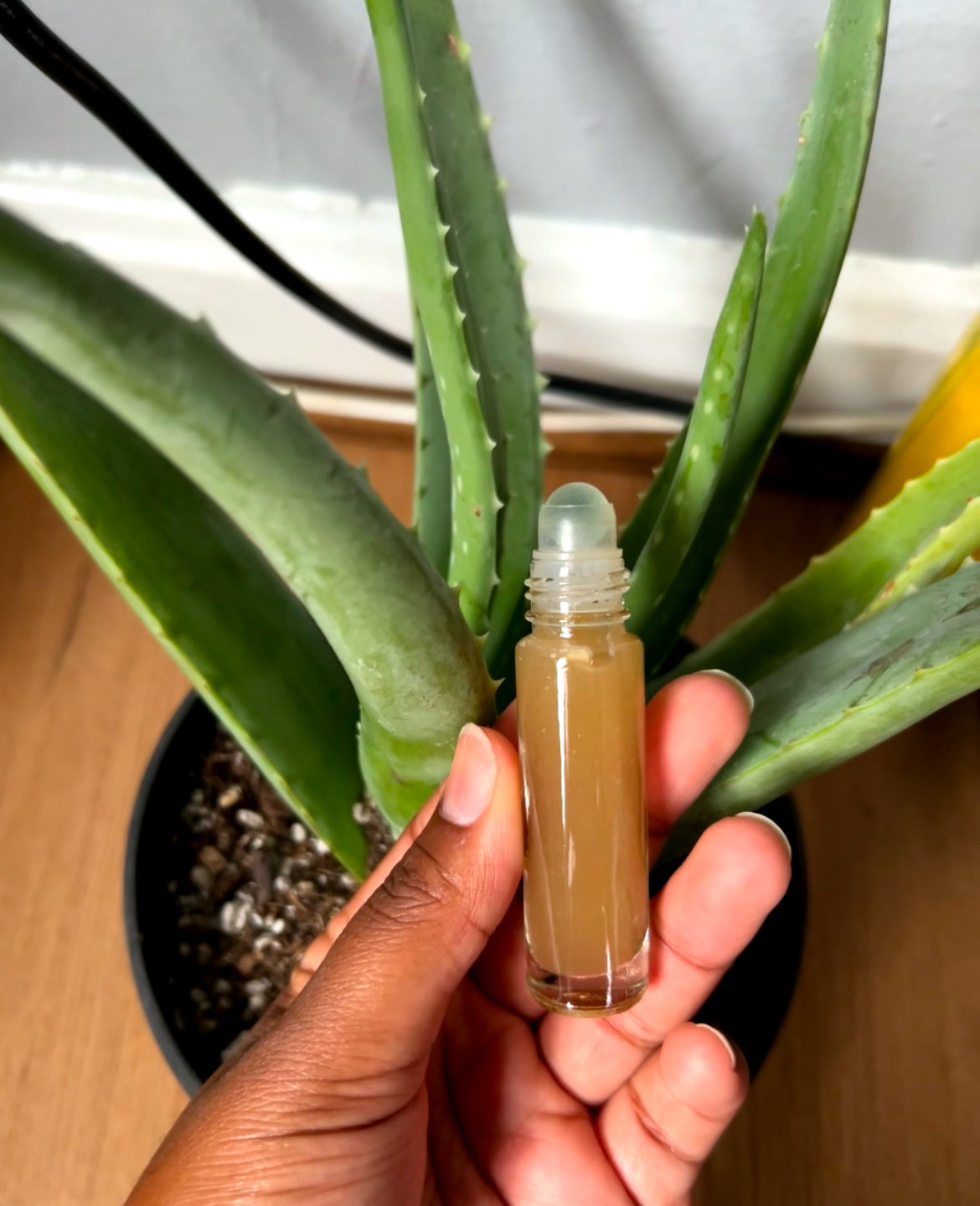 Aloe Vera Roll-On Toner