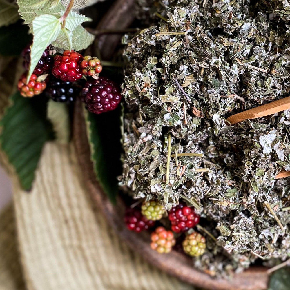 Red Raspberry Leaf