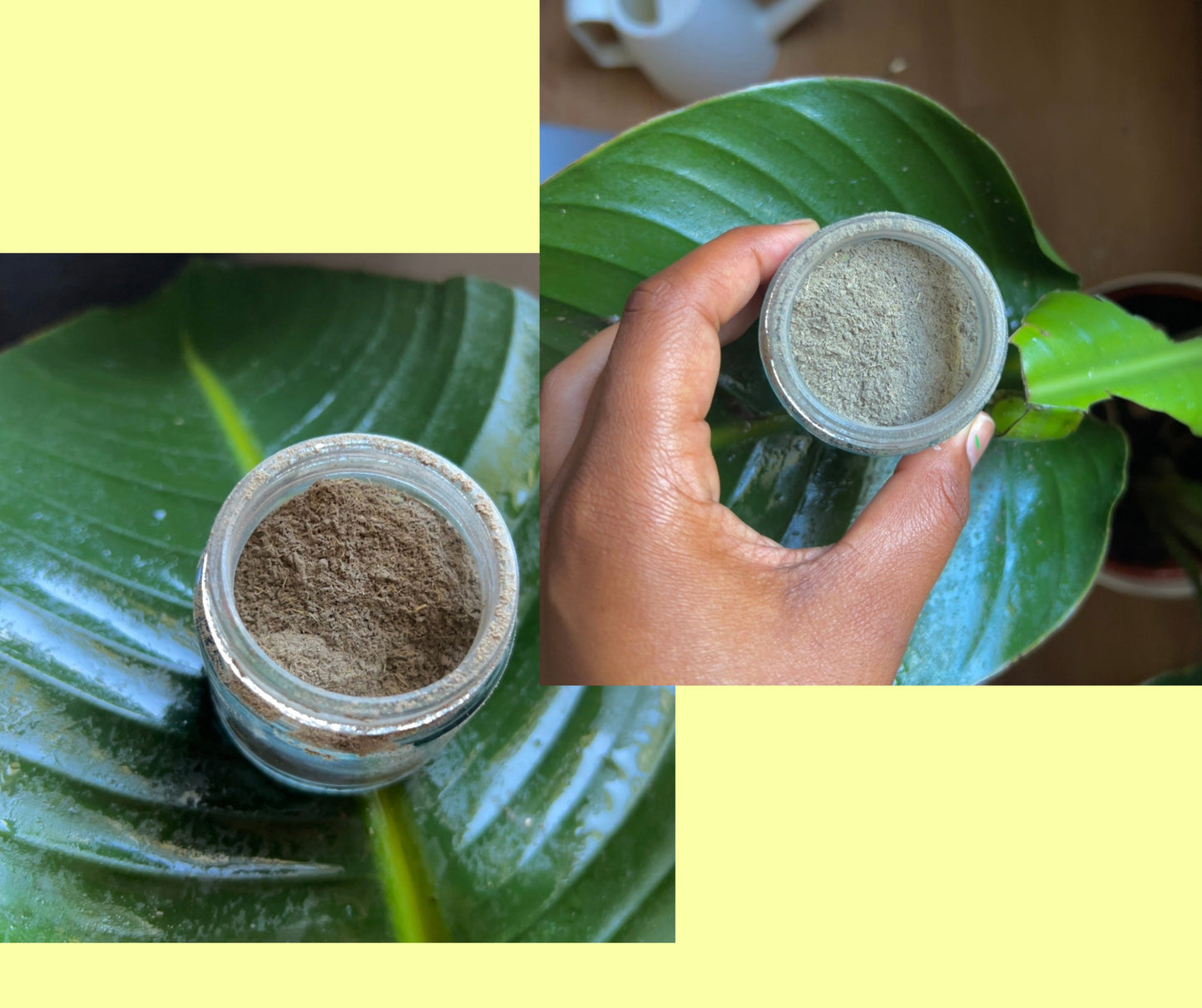 ROOT ESSENCE Radiant Clay Mask